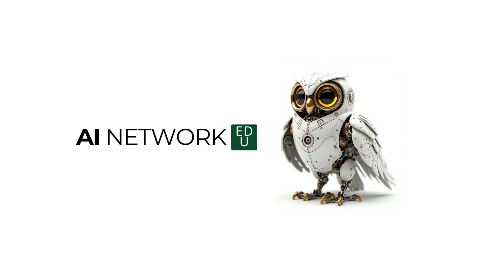 AI NETWORK EDU